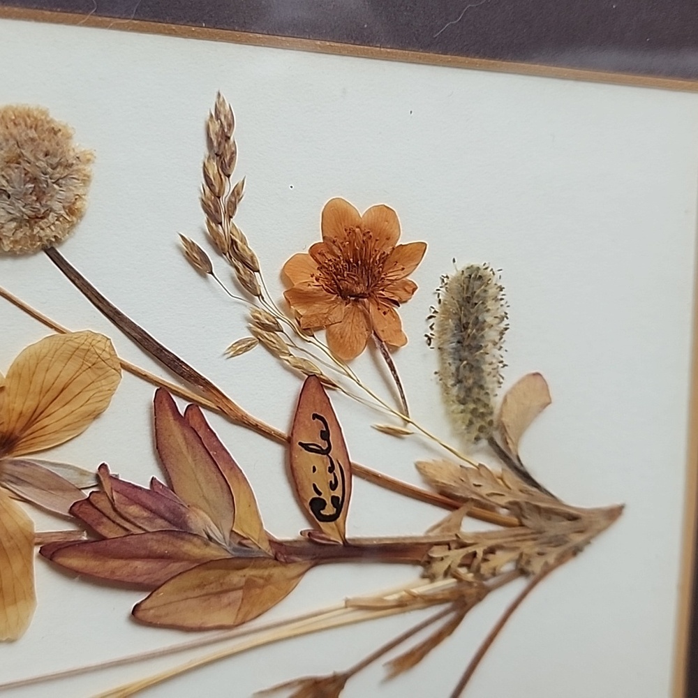 Vintage Pressed Dried Arctic Flowers Gold Framed Floral Art - Picture 4 of 11